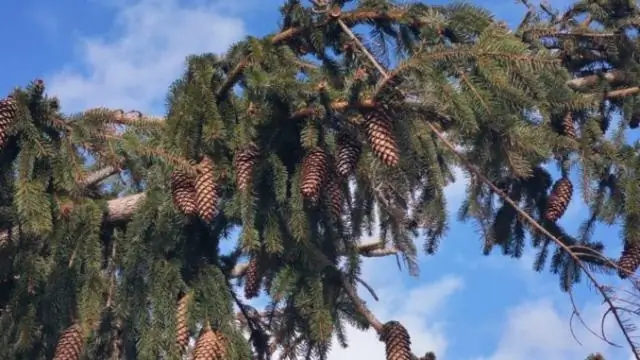 Kako nazivate računalni sustav?