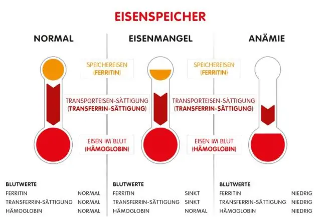 Welche Möglichkeiten gibt es, Gesundheitsdaten zu speichern?