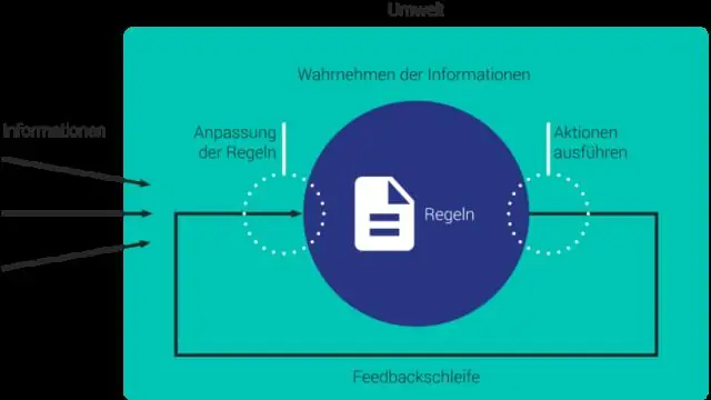 Mit jelent a komplex adaptív rendszer az ápolásban?