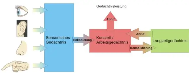 Wie beeinflusst der Kontext das Gedächtnis?