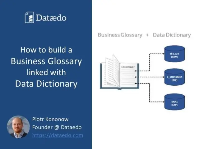 Che cos'è un dizionario dei dati nell'analisi aziendale?