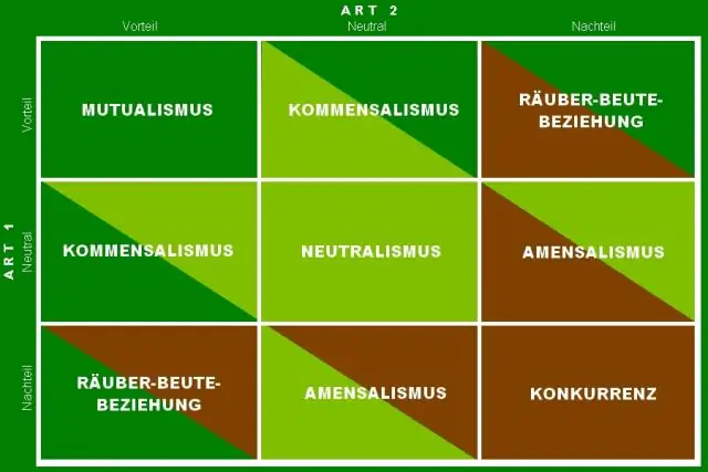 Was ist eine assoziative Tabelle in Beziehungen?