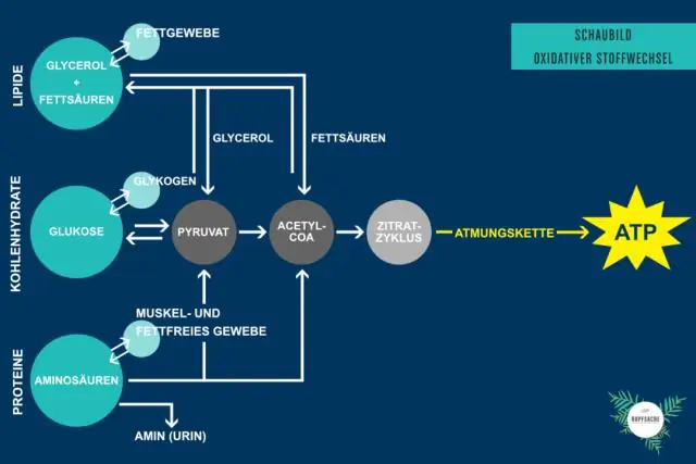 Hansı diaqramlara qarşılıqlı təsir diaqramları deyilir?