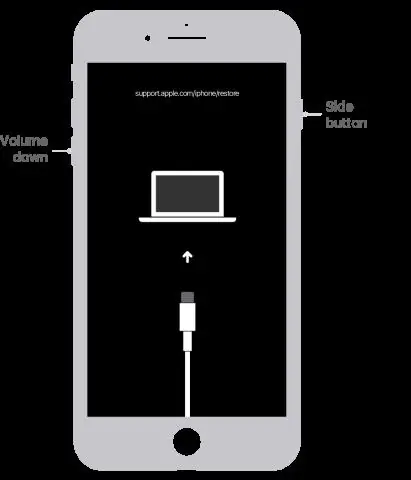 Мен iPhone 8ге кантип чалсам болот?