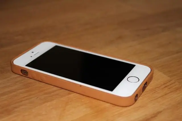 Kan iPhone 5s-vingerafdruk vervang word?