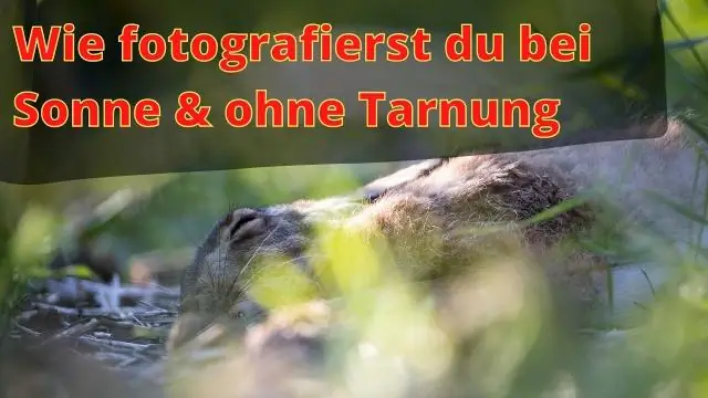 Kako snimate fotografije?