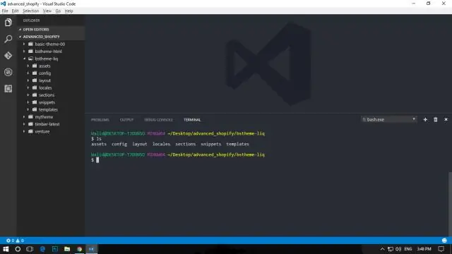 Visual Studio'da montaj ma'lumotlari qayerda?