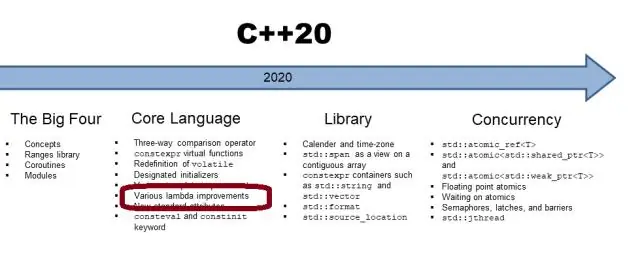 Co to jest wskaźnik do typu funkcji w C++?