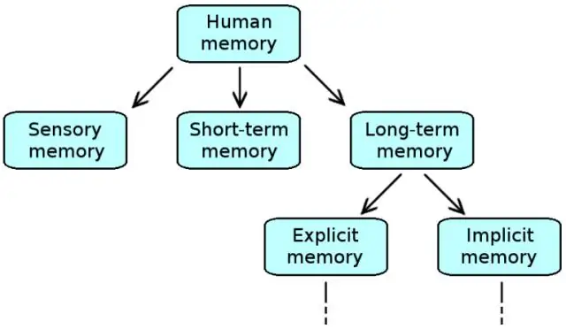 Ano ang halimbawa ng implicit memory?