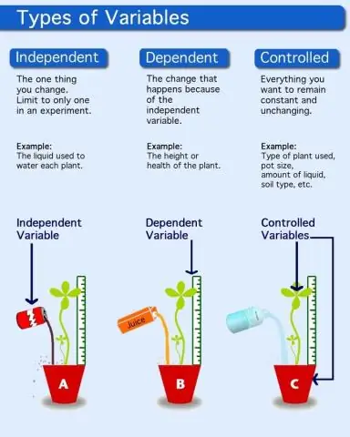 Quels sont les différents types de variables dans les TIC ?