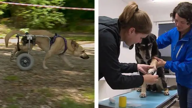 Kas ma saan Gmaili kontole sõnumi saata?