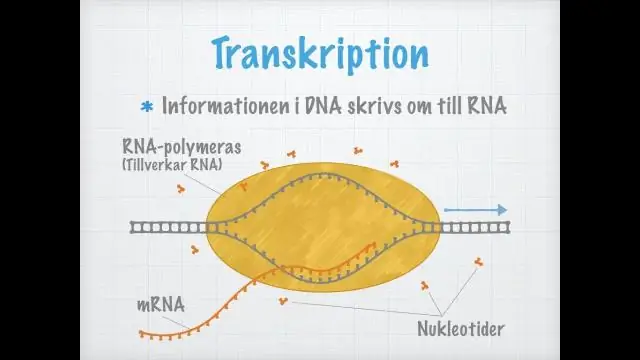 Wat is 'n voetpedaal in transkripsie?