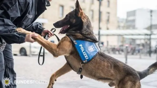 Ikkita 3 tomonlama dimmerdan foydalansam bo'ladimi?