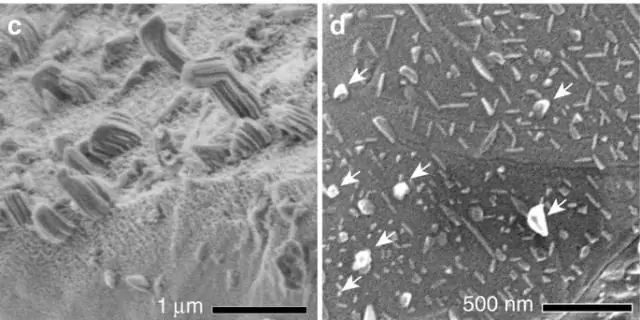 Berapakah bilangan nanometer yang terkandung dalam satu mikrometer?