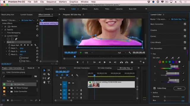 Kaip paryškinti vaizdo įrašą naudojant Premiere Pro CC?