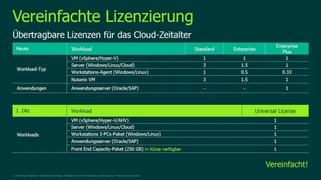 Wie lizenziert Veeam?