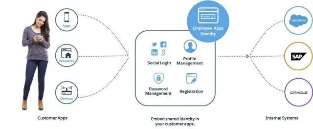 Hoe skep ek 'n grootmaat-API in Salesforce?