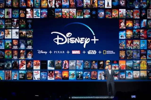 Kokias programas naudoja „Disney“?