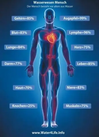 Zakaj so teorije zdravstvene nege pomembne?