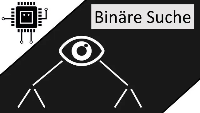 ሁለትዮሽ ፍለጋ በጣም ፈጣን ነው?