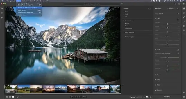 Bagaimana cara menggunakan pelukis format Adobe?