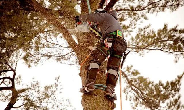 Quale è ordinato per ordine naturale?