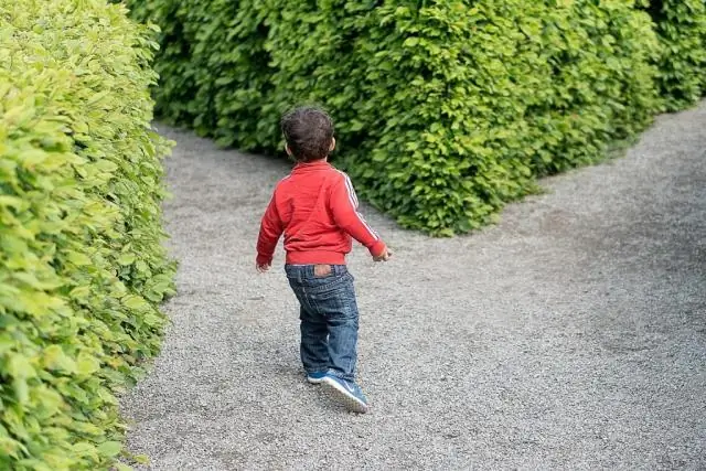 Kāda ir matemātikas stratēģija problēmu risināšanai?