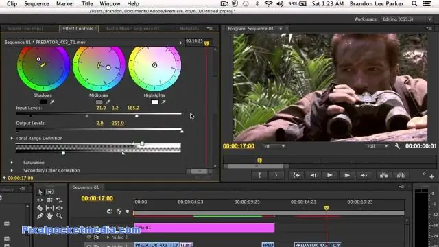 ¿Cómo cambio el color de una capa de ajuste en Premiere Pro?