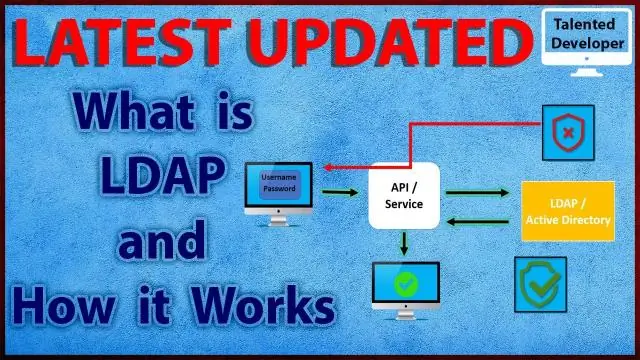 O que é um atributo LDAP?