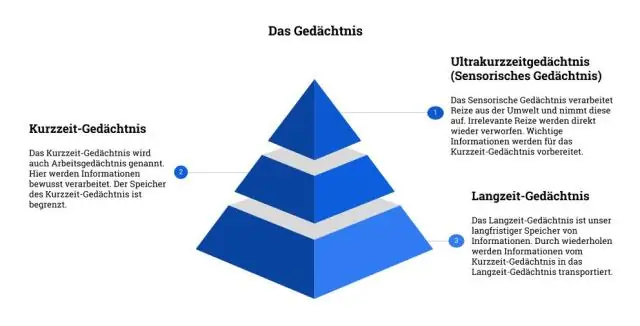 Kaip informacija patenka į atmintį?