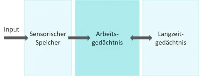 Quelle est la capacité de la mémoire à long terme ?