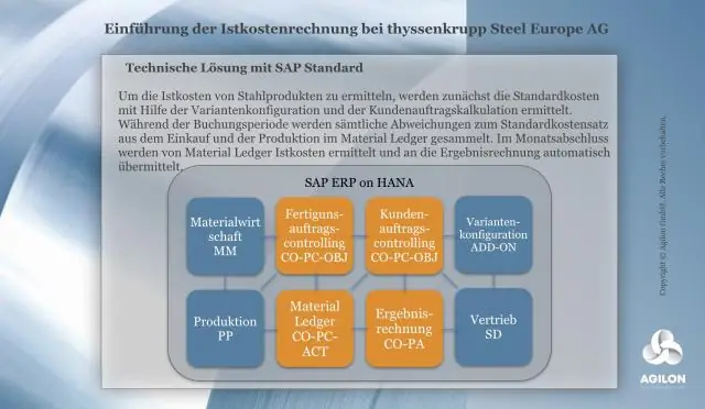 Què és l'autorització SAP?