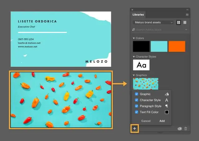 Cosa si può fare con Adobe Creative Cloud?