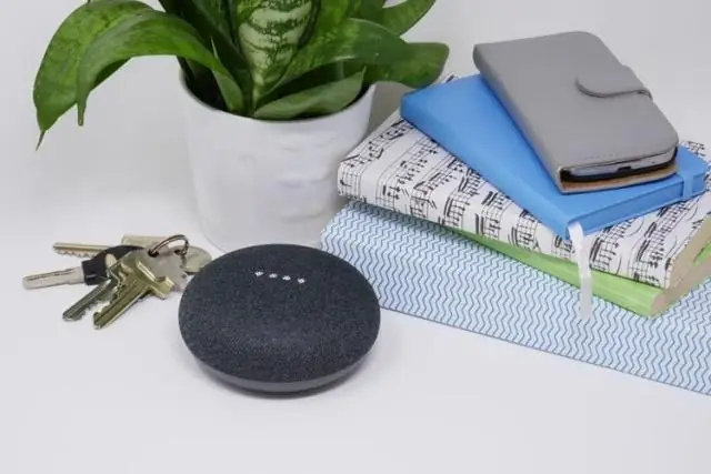 Kā savienot savu mini Google ar WiFi?