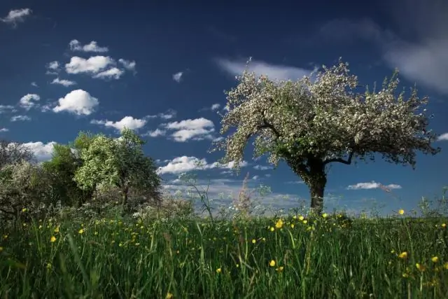 Qu'est-ce que log4j au printemps ?