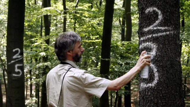 Che cos'è un test dell'albero delle chiamate?