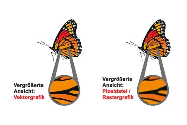 Mis on vektorgraafika PDF?