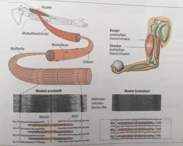 Kāda ir lappuses pārtraukuma funkcija?