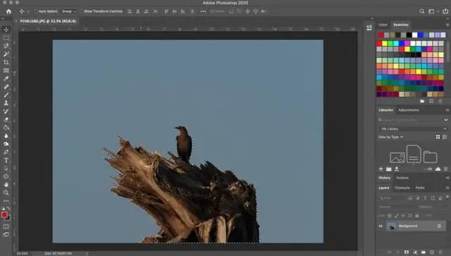 Bagaimana cara menghapus titik-titik dari gambar di Photoshop?