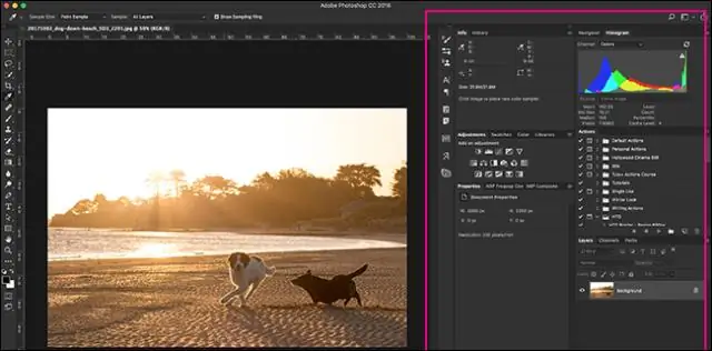 Hoe gebruik ik de tool voor snelle selectie in Photoshop CC 2019?