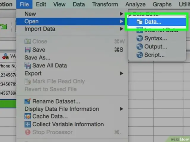 כיצד אוכל לייבא נתונים מ-Excel ל-SPSS?