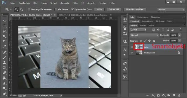 Làm thế nào để bạn chèn một bức ảnh vào một hình dạng trong Photoshop?