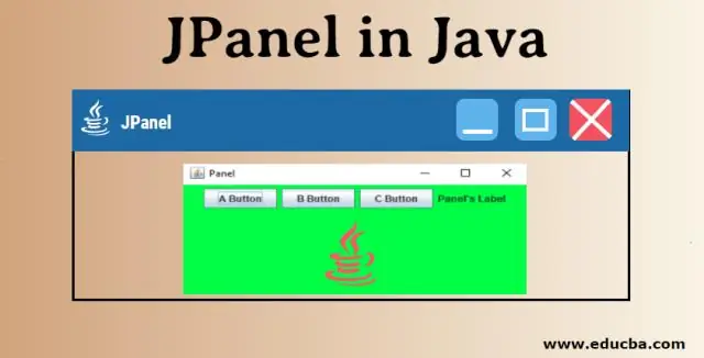 Qu'est-ce que la variable d'instance Java ?