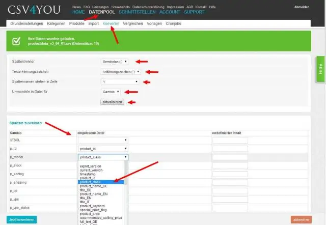 ฉันจะแปลงไฟล์ CSV เป็น Sav ได้อย่างไร