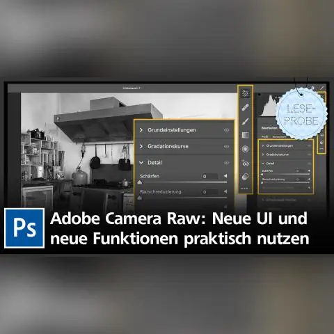 Koj txuas li cas hauv Camera Raw?