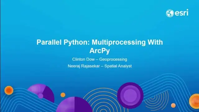 Wat is parallelle Python?