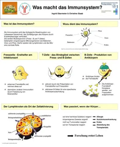 Quin és l'ús de JsonNode?