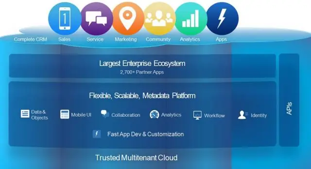 რა არის API წვდომა Salesforce-ში?