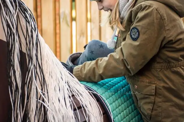 Pourquoi les Troyens ont-ils accepté le cheval de bois ?