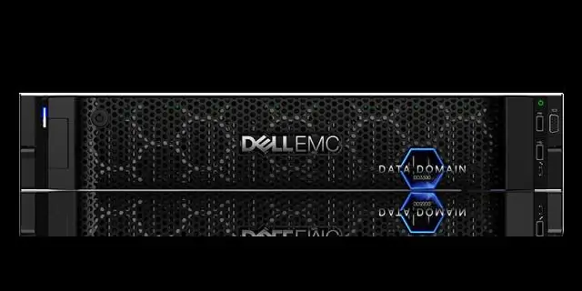 Come funziona EMC Data Domain?